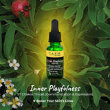 Inner Playfulness Body Oil